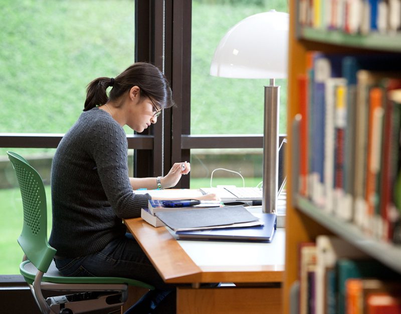 Student study in the library