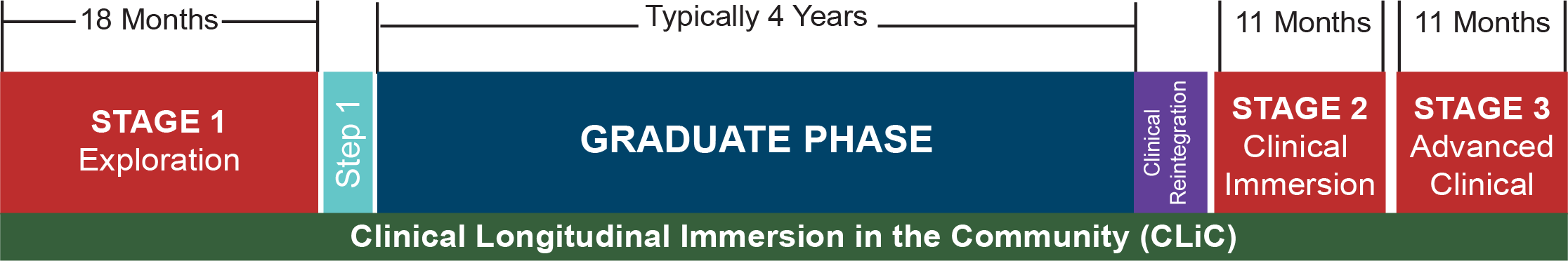 MD/PhD Program Timeline. 18 Months Stage 1 "Exploration", Step 1, Typically 4 Years Graduate Phase; Clinical Reintegration, 11 Months Stage 2 Clinical Immersion, 1 Months Stage 3 Advanced Clinical. Clinical Longitudinal Immersion in the community (CLiC) overlaps the entire timeline. 